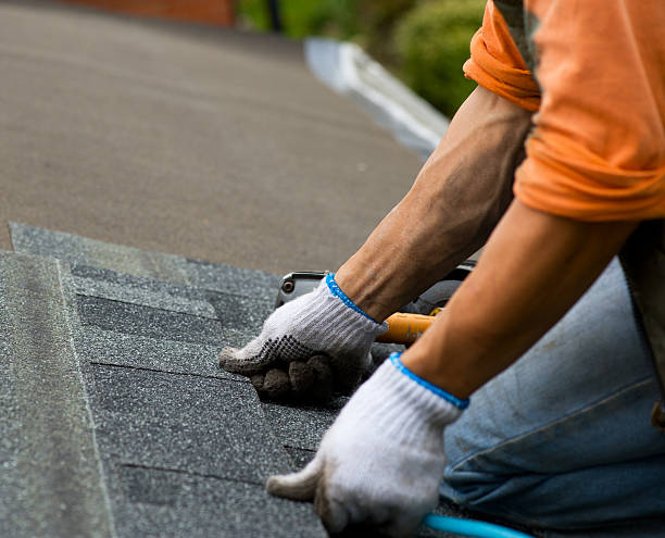 Best Roof Maintenance Services  in Circleville, OH